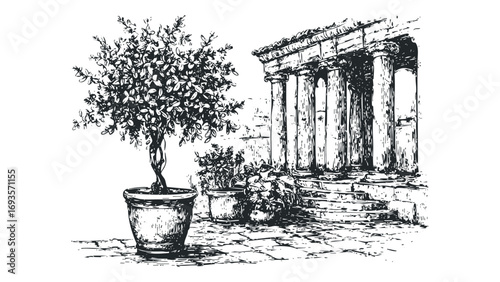 Potted plant and classical stone architecture detail on transparent background. Vector hand drawn illustration