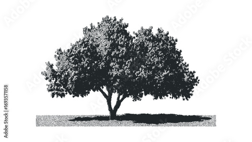 Stippled tree with full foliage and shadow on transparent background. Vector hand drawn illustration