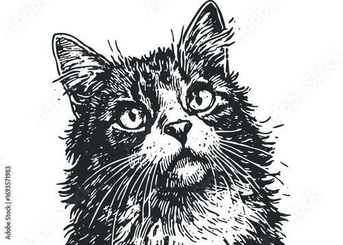 Black and white sketch of a fluffy cat's face on a transparent background. Vector hand drawn illustration
