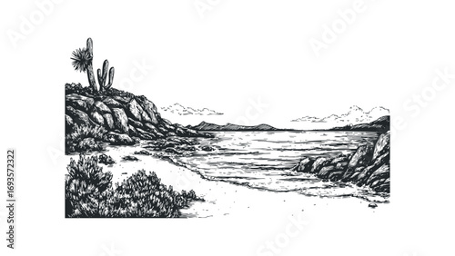 Line art desert landscape with cactuses and ocean shore on transparent background. Vector hand drawn illustration