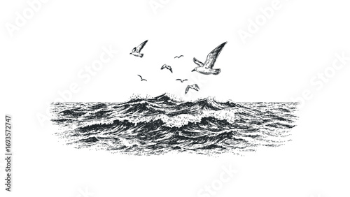 Seagulls flying over rough ocean waves on transparent background. Vector hand drawn illustration