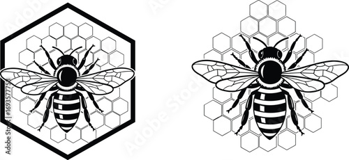 Honeybee vector illustration with honeycomb background, bee silhouette, honey bee clipart, insect graphic, pollination symbol, nature, hexagonal pattern design.