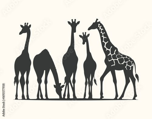 Vector art of a group of five giraffes in silhouette, some grazing, isolated on a light background
