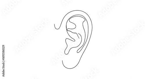 Simple line drawing of human ear in minimalist style  