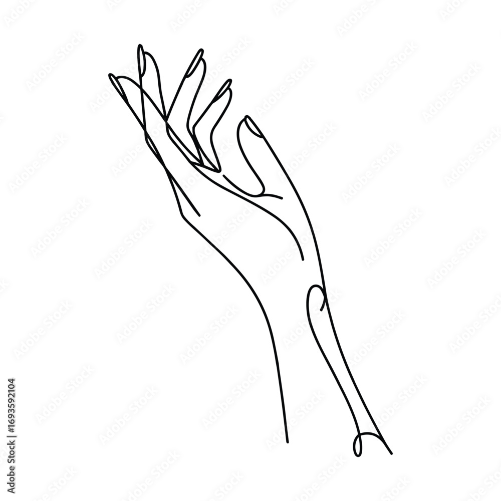 Fototapeta premium Elegant minimalist line drawing of a delicate hand reaching upwards