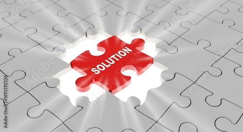 Solution Puzzle Piece.