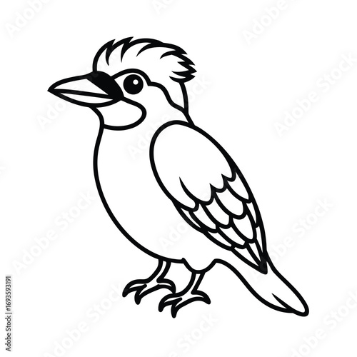 simple kookaburra drawing vector on white background 