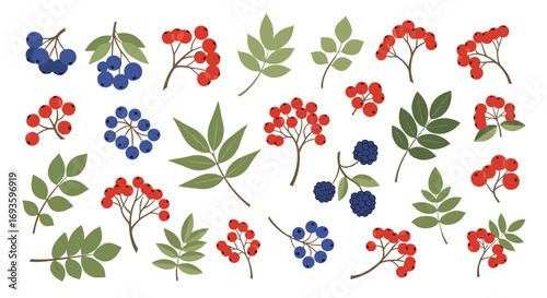 Wallpaper Mural Vibrant berry and leaf illustrations for seamless patterns, nature-themed designs, and decorative elements Torontodigital.ca