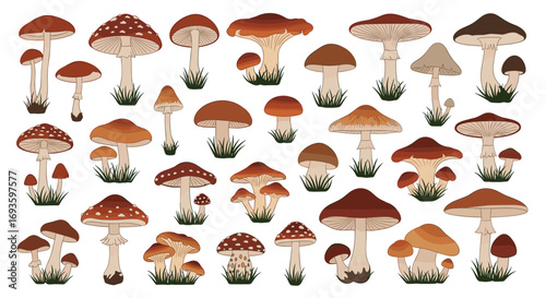Variety of vibrant, detailed mushrooms growing in grass, perfect for nature designs and fall themes