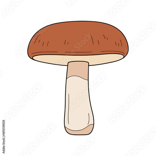 Simple brown mushroom cartoon illustration forest edible fungi forest floor nature element vector