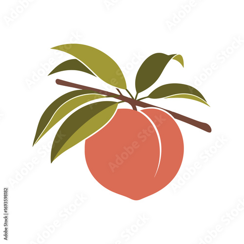 Ripe peach fruit with green leaves on branch fresh healthy food illustration vector