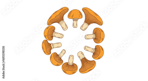 Golden chanterelle mushrooms arranged in a circle, perfect for food-related designs