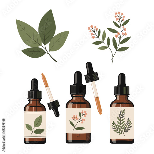Natural essential oils and botanicals for holistic wellness and skin care solutions