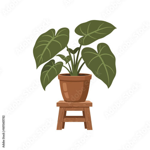 Potted tropical plant with large leaves on a wooden stool illustration vector