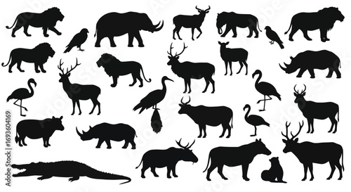 Dynamic Animal Silhouettes Showcase Diverse Wildlife in Nature Illustration