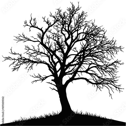 absolute black void consumes the entire frame