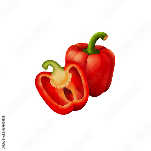 paprika watercolor isolated vector white background