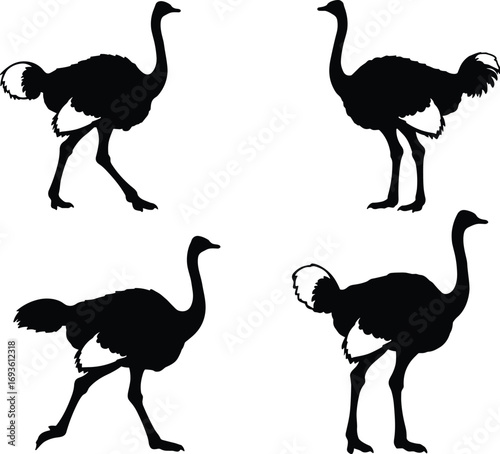 Running Ostrich Silhouettes Vector Set: A Collection of Large African Bird Graphics for Wildlife and Nature-Themed Designs.
