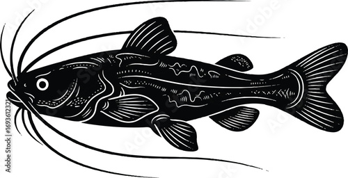 Detailed black and white illustration of a Corydoras Catfish. A popular choice for freshwater aquarium websites, fish care guides, and community tank art.