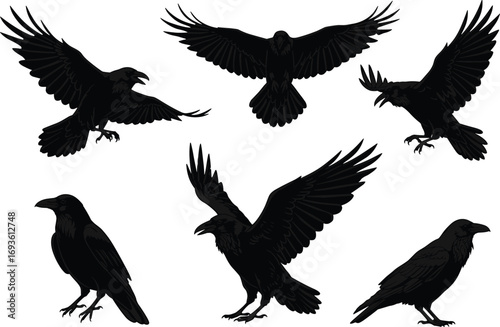 Flying and Perched Raven Silhouettes Vector Set: A Dark and Mysterious Bird Collection for Halloween and Nature Designs.