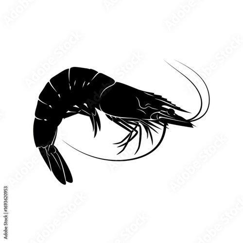 Black silhouette of a shrimp isolated on white background silhouette