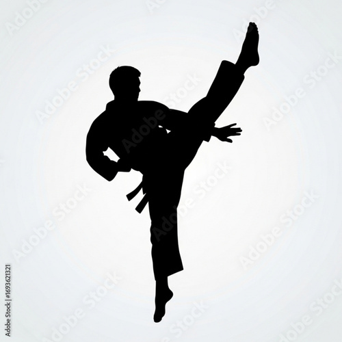 Karate fighter performing high kick silhouette isolated on white background