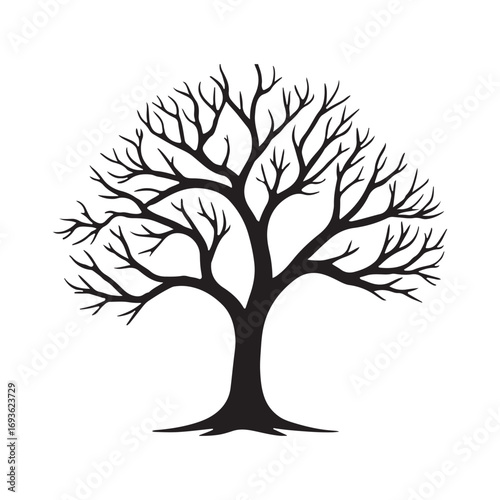 Bare tree silhouette with a balanced, fan shaped canopy of leafless branches. Clean black vector drawing for landscape or nature scenes.