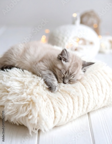 Sleepy kitten on a cozy pillow