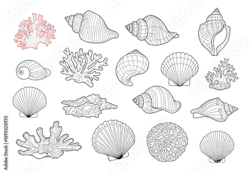 An assortment of marine life forms featuring numerous seashells and coral illustrations