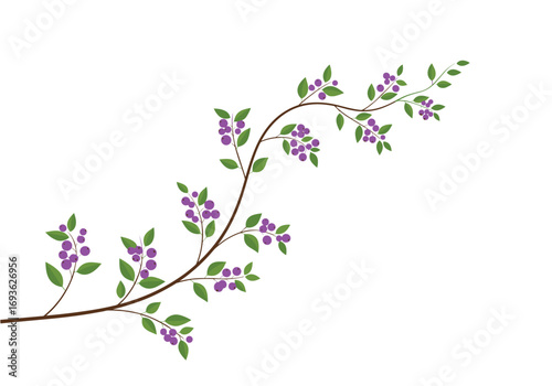Delicate vine branch adorned with small purple flowers and green leaves branching outward