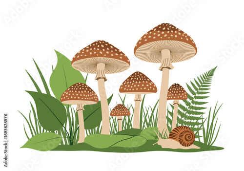 Enchanting forest floor with spotted mushrooms ferns and a tiny snail exploring nature