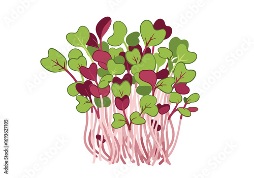 Vibrant microgreens lush growth delicate stems tender leaves nutritious edible plants for healthy eating