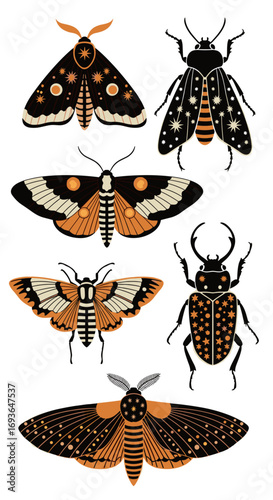 Mystical celestial moths and majestic scarab beetles enchanting nocturnal insect illustrations for cosmic wonder