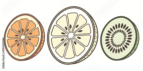 Vibrant citrus and kiwi slices artfully arranged, perfect for refreshing designs and healthy lifestyle promotions.