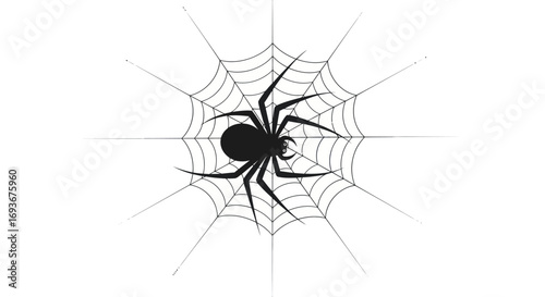Black Spider in Center of its Web.