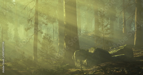 Foto Gentle rays of sunlight penetrate the lush canopy, illuminating the forest floor