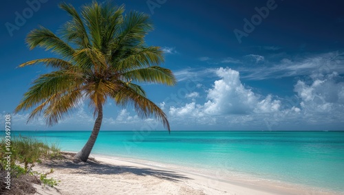 Tropical beach scene with palm tree (3)