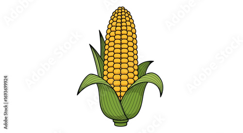 Photos Vibrant Yellow Corn Cob with Green Leaves.
