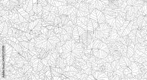 Detailed leaf outlines create a natural pattern perfect for autumn designs and seasonal projects