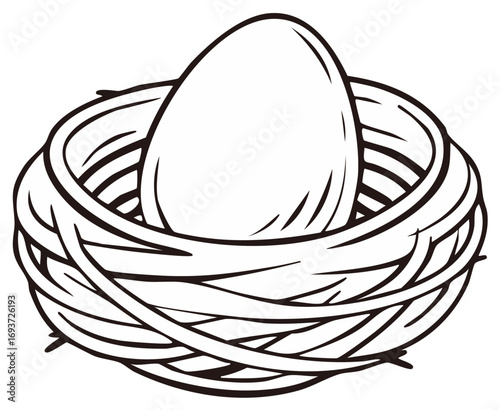 Single precious egg nestled safely in a natural bird nest new life symbol drawing