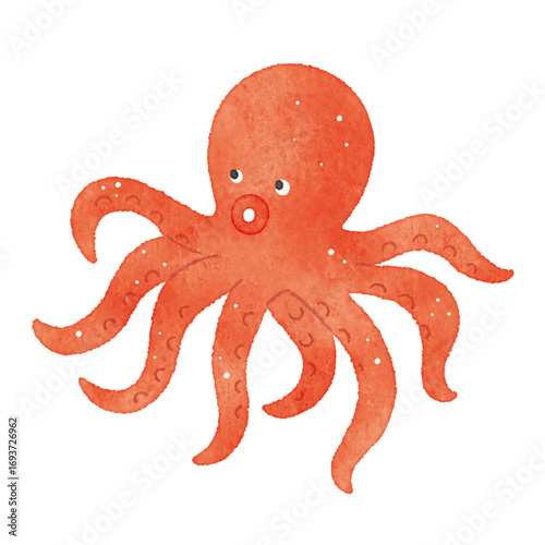 タコ　octopus　水彩風　たこ