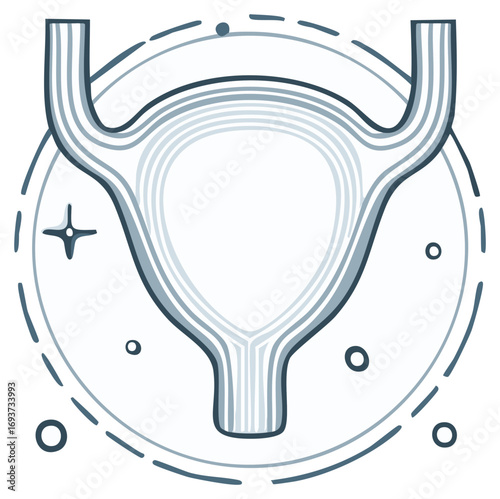 Linear Art Illustration of the Human Bladder and Urinary System Outline Style