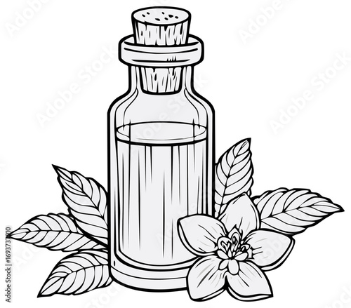 Line art illustration of a glass bottle of essential oil with a cork stopper and a blooming flower