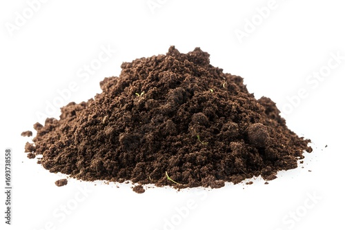 A small pile of soil with a young plant isolated on a white background,
