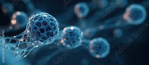 3D rendering of microscopic cells