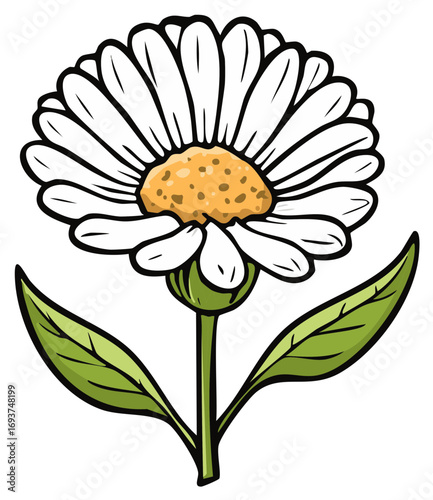 Simple cartoon illustration of a fresh daisy flower with white petals green stem and a yellow center