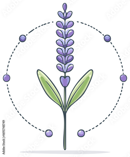 Elegant Lavender Sprig Cartoon Illustration with Dotted Circle Ornament and Decorative Elements