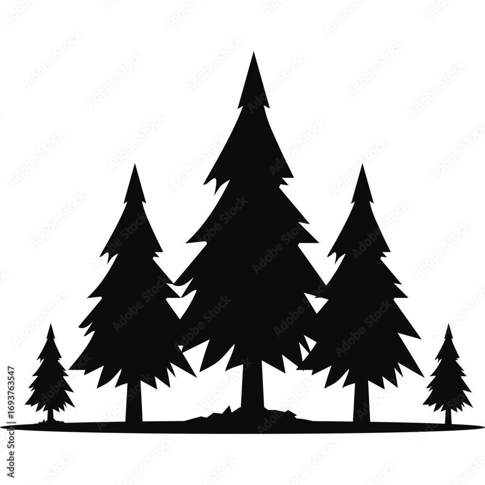Obraz premium Pine Tree Silhouette