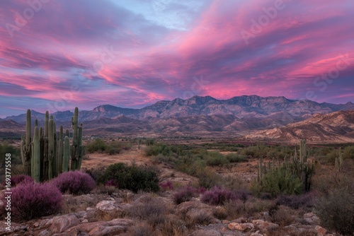 Vibrant sunset hues paint the sky above a desert landscape, illuminating mountains and cacti