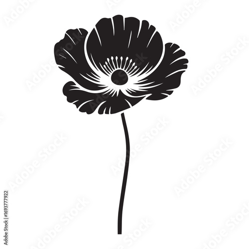 A single pink gerbera daisy blossom with delicate petals is isolated against a white background, perfect for a floral or spring design